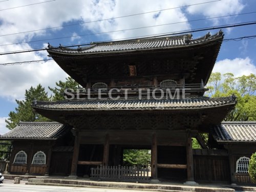 その他　大樹寺（その他）まで292m