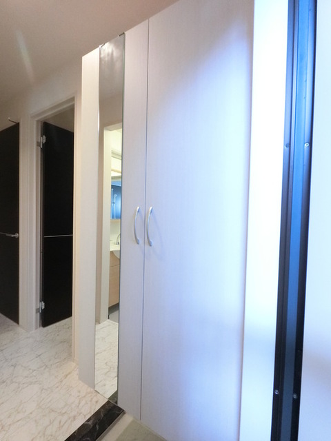 玄関　広めのＢｏｘは収納力ばっちり。トールタイプのミラーついてます