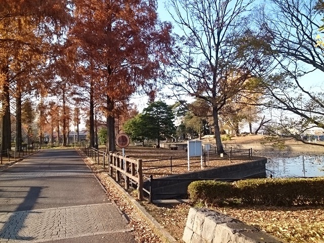 公園　不動岡公園（公園）まで1100m