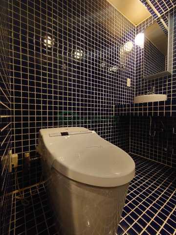 西武新宿線 下落合駅 徒歩3分 10階建 築20年のトイレ写真