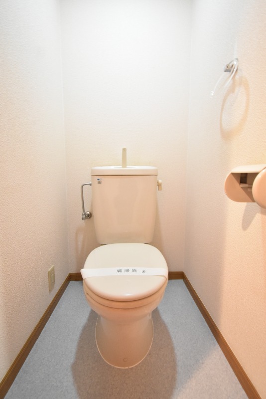 サンハイツ笹貫のトイレ写真