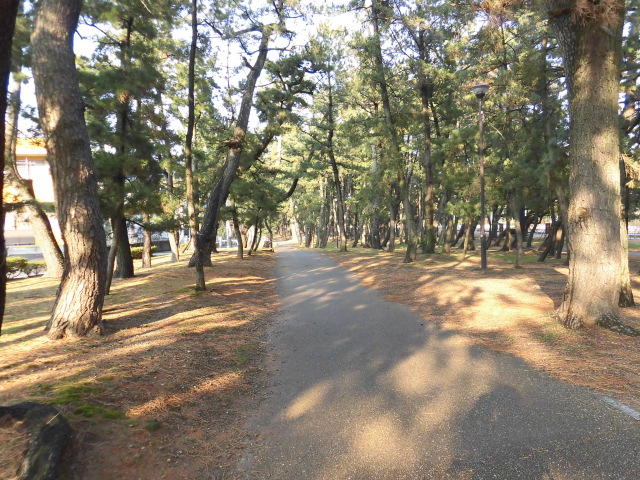 【サンシティヤマモトの公園】