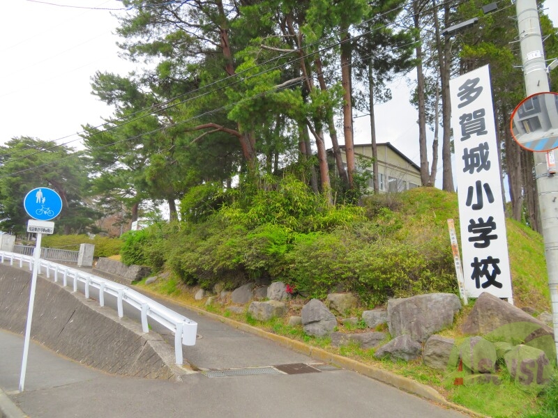 【多賀城市留ケ谷のマンションの小学校】