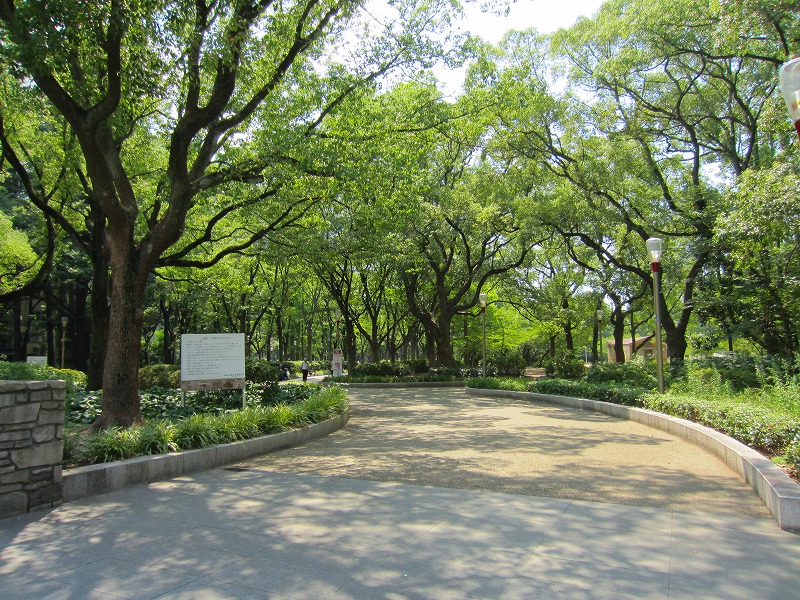 【Dimora靭公園の公園】