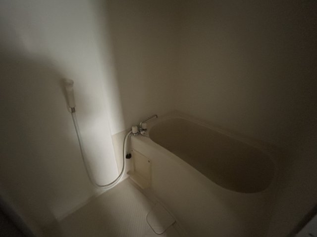 バス・シャワールーム　同物件、別号室のものです。