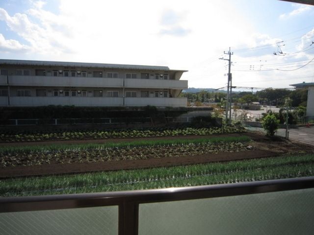 眺望　★お問い合わせはタウンハウジングまで★