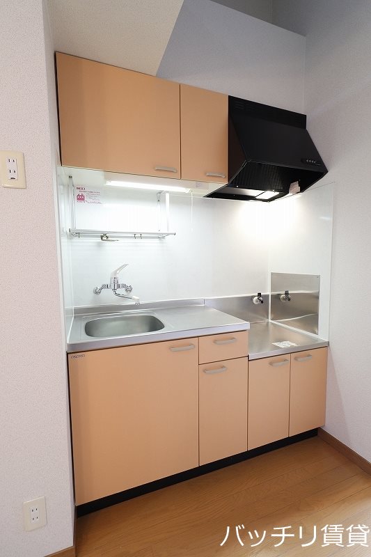 キッチン　別号室写真の為、現状優先