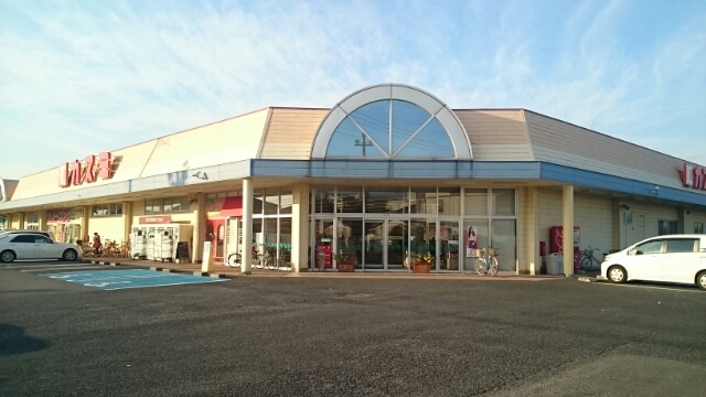 スーパー　カスミ花崎店（スーパー）まで1100m