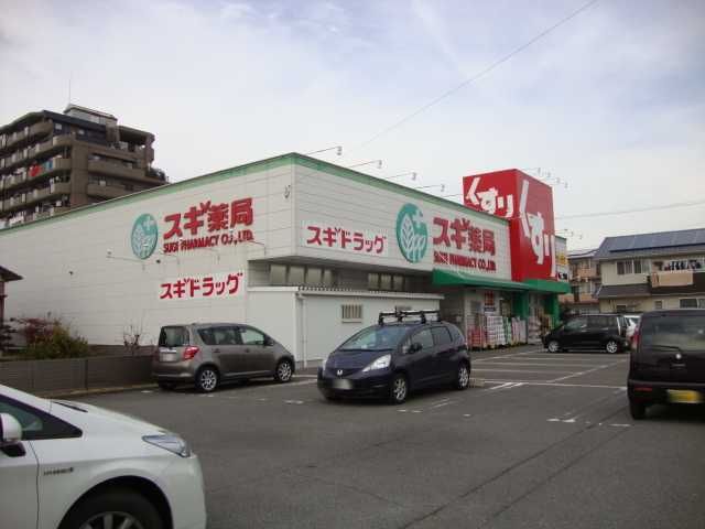 ドラックストア　スギ薬局大地店（ドラッグストア）まで751m