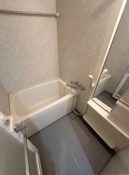 バス・シャワールーム　ニューシティアパートメンツ亀戸 （他の部屋写真になります）