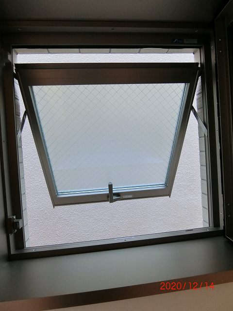 Massel Blauのその他写真