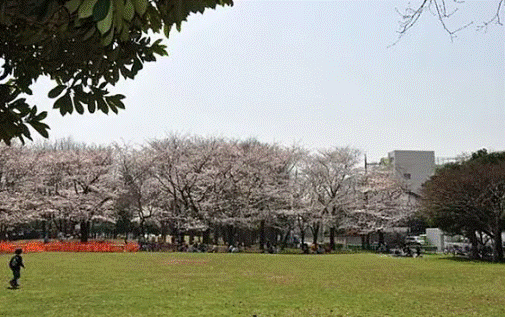 公園　戸越一丁目緑地（公園）まで865m