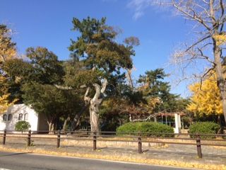 【豊橋市牛川薬師町のアパートの公園】