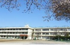 【川口市芝中田のマンションの小学校】