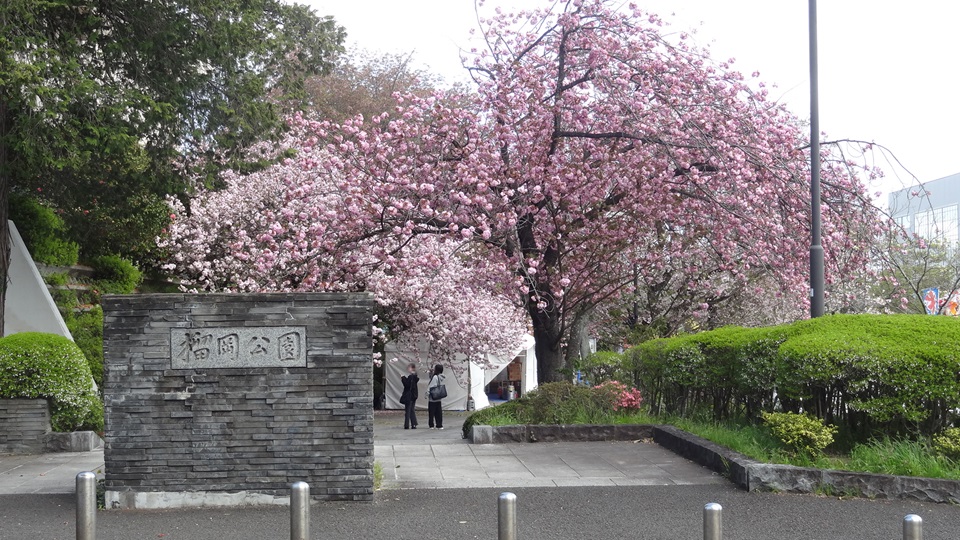 【仙台市宮城野区清水沼のアパートの公園】