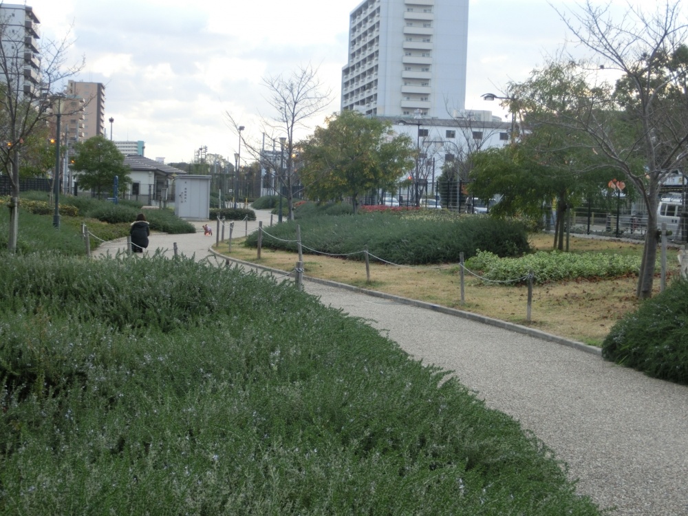 【エステムプラザ難波ＷＥＳＴIIプレディアの公園】