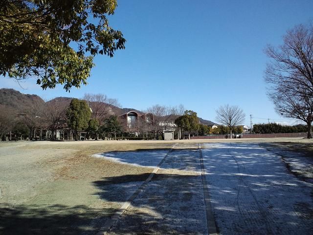 【エステムプラザ難波ＷＥＳＴIIプレディアの公園】