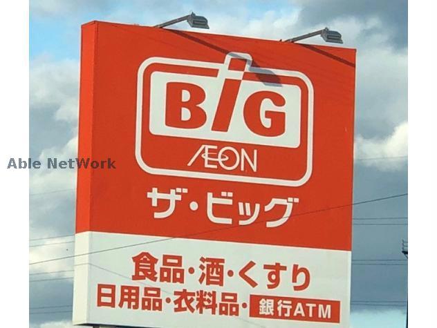 その他　ザ・ビッグ津藤方店（その他）まで1141m