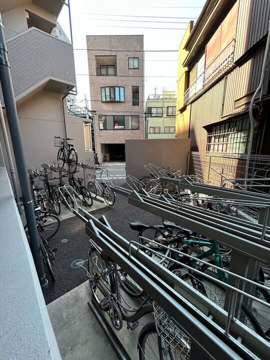 庭