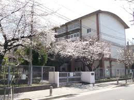中学校　名古屋市立桜丘中学校（中学校）まで800m