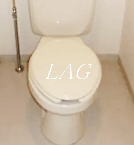 トイレ　トイレです。