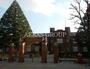 大学・短大　立教大学（大学・短大）まで761m