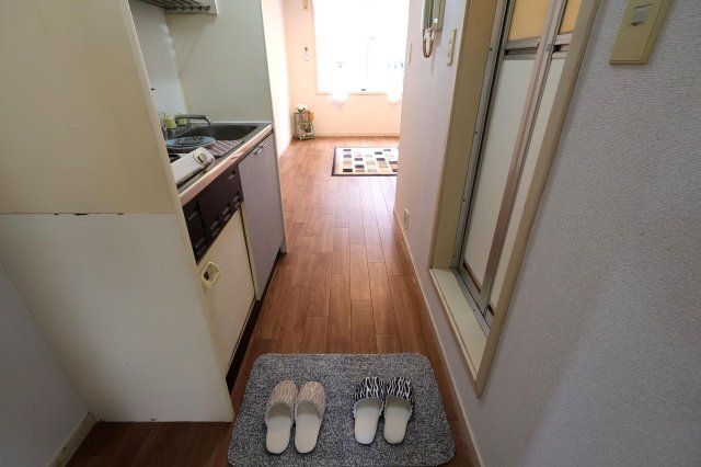 玄関　玄関から見た部屋内部です