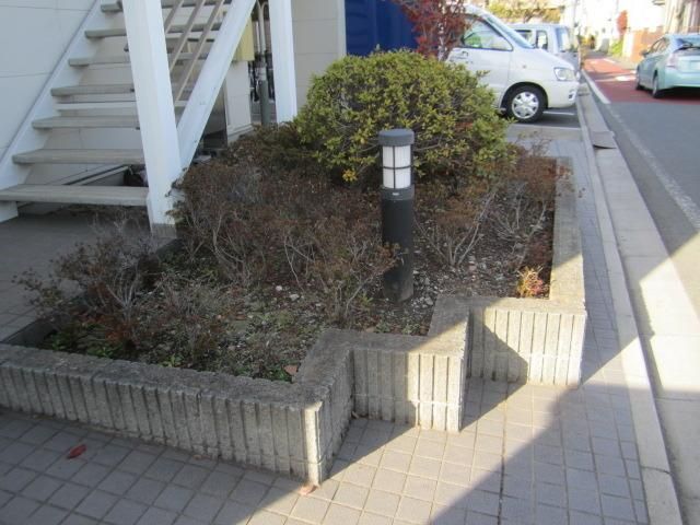 庭