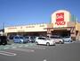 スーパー　ベルク 北坂戸店（スーパー）まで1161m