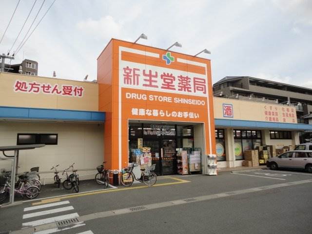 ドラックストア　ドラッグ新生堂 南大橋店（ドラッグストア）まで317m