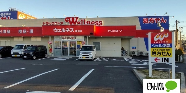 ドラックストア　ドラッグストアウェルネス斐川店（ドラッグストア）まで121m