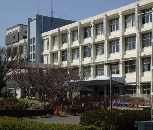 小学校　明石市立大観小学校（小学校）まで294m