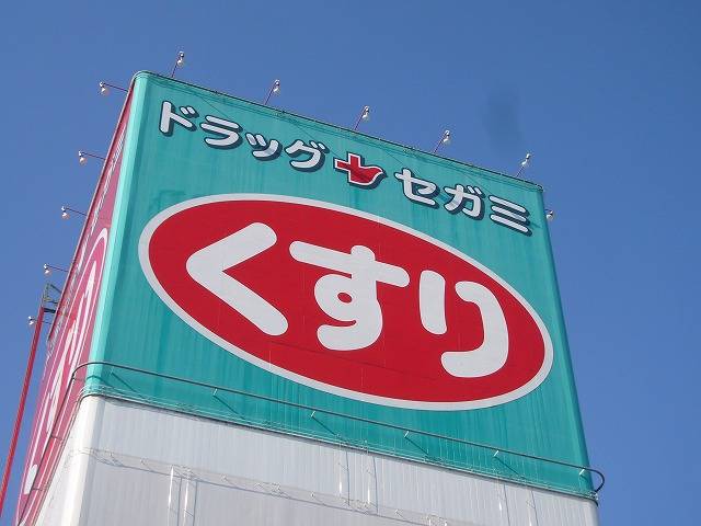 ドラックストア　ドラッグセガミ岡山表町本店（ドラッグストア）まで885m