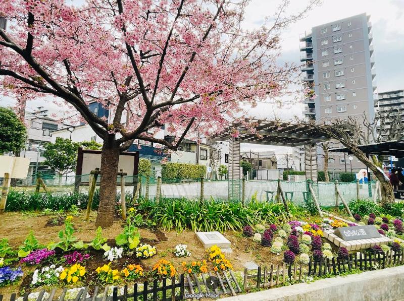 公園　親和児童遊園（公園）まで230m