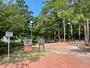 公園　山王公園（公園）まで741m