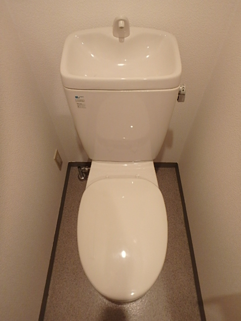 トイレ　しんぷるいずべたー