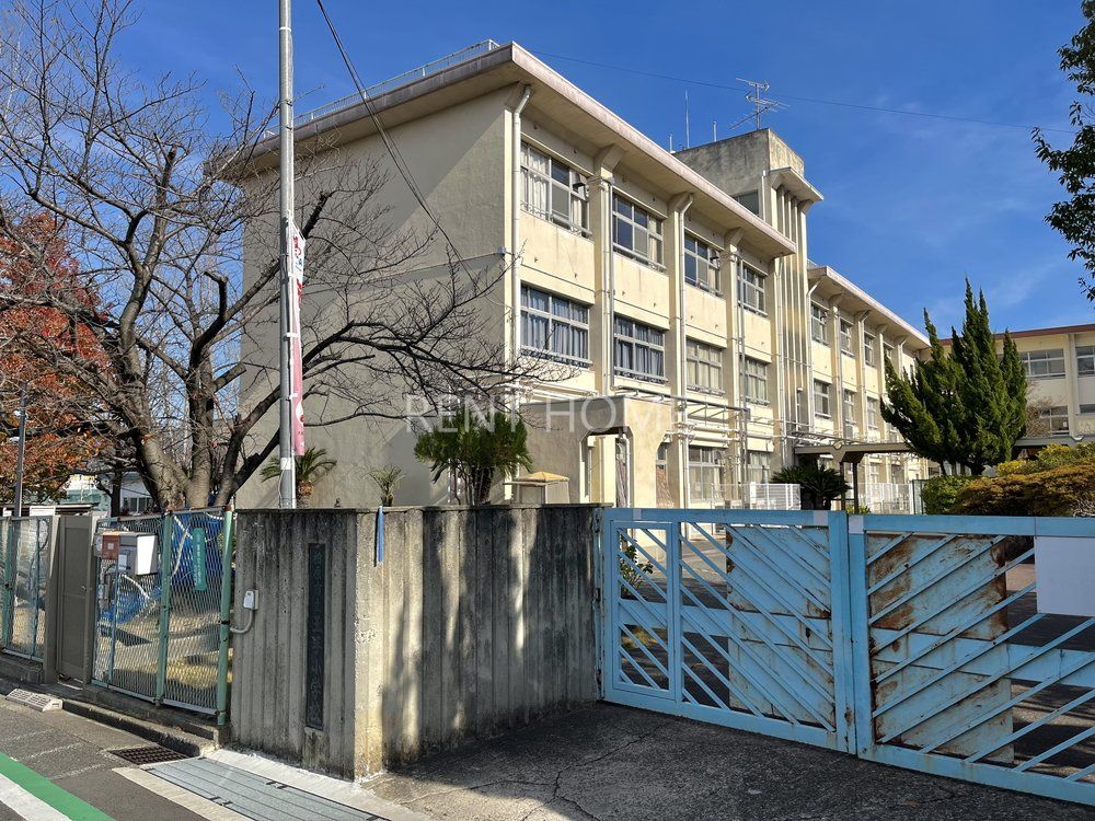 小学校　柏原市立玉手小学校（小学校）まで570m