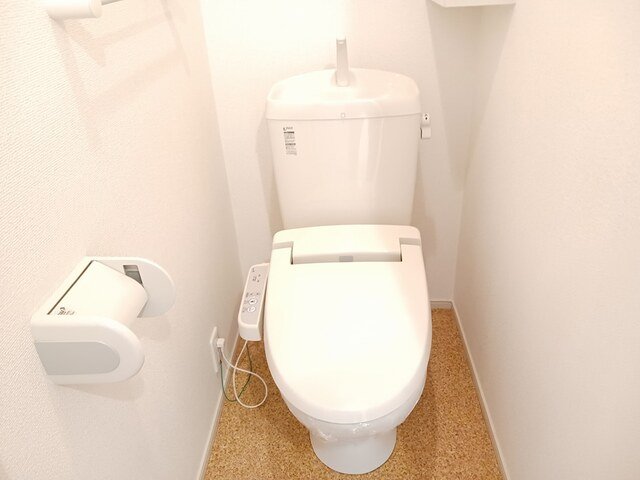 トイレ　トイレも気になるポイント