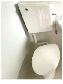 トイレ　トイレです