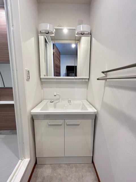 洗面設備　同タイプの別部屋の写真です