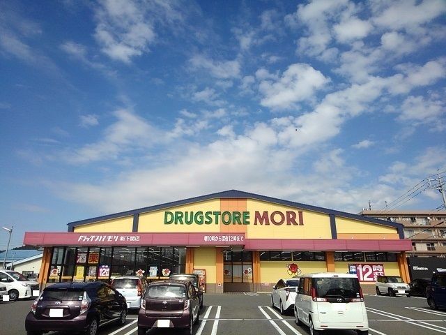 ドラックストア　ドラッグストアモリ（ドラッグストア）まで1100m