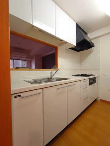 キッチン　レジディア文京音羽 506