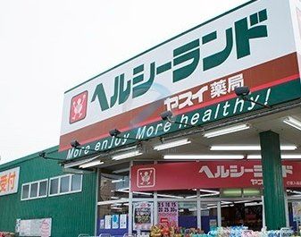 ドラックストア　ヘルシーランドヤスイ薬局（ドラッグストア）まで500m