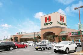 スーパー　ハローズ田ノ上店（スーパー）まで1024m