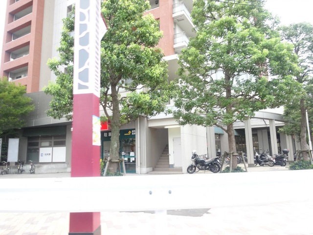 スーパー　ピーコックストア三軒茶屋の杜店（スーパー）まで577m