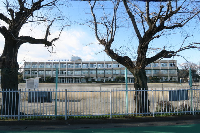 小学校　八王子市立第十小学校（小学校）まで850m