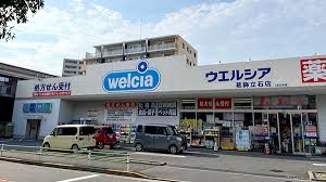 ドラックストア　ウエルシア葛飾立石店（ドラッグストア）まで73m