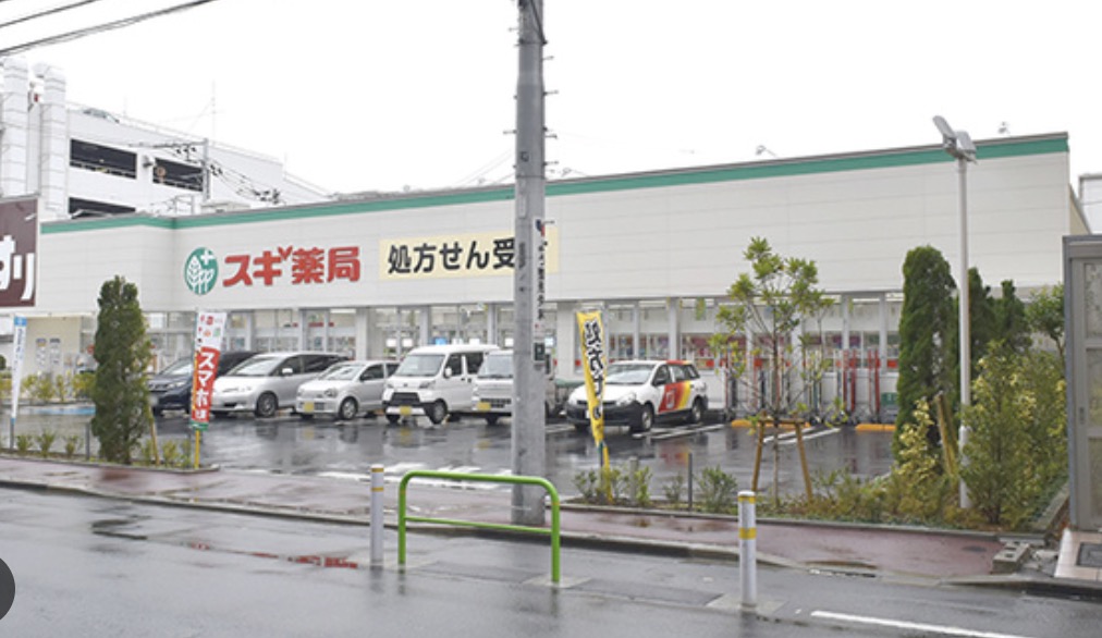 ドラックストア　スギ薬局志村坂下店（ドラッグストア）まで337m
