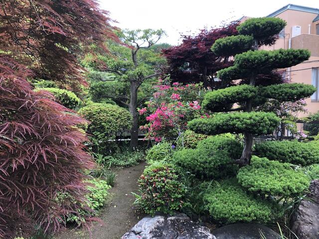 庭　お庭の付いた物件です