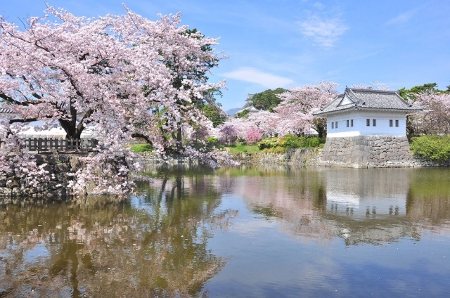 公園　小田原城址公園（公園）まで875m